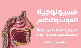 فسيولوجية الصوت والنطق والكلام