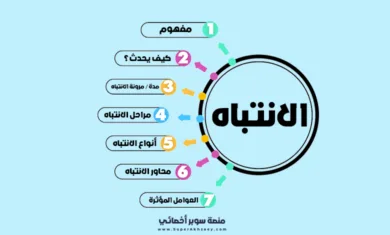 الانتباه، مفهوم، أنواع، مراحل