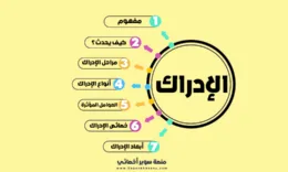 الإدراك، مفهوم، أنواع، مراحل